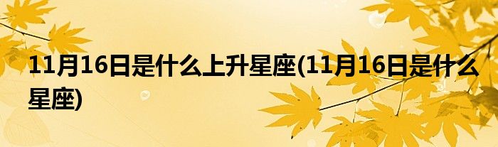 11月16日每日十二星座运势 (11月16日是什么星座)