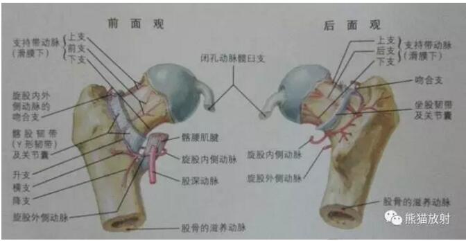 财富追梦与血洗惨剧 比特币狂潮 (财富追求)