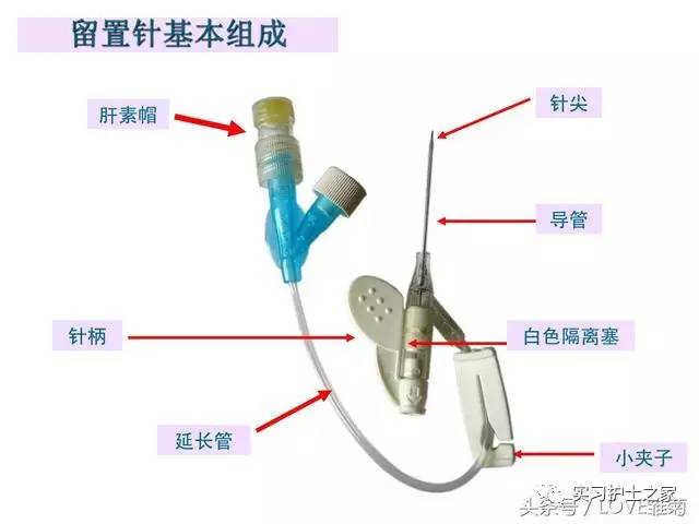 探索静脉留置针 安全 实用 让您安心使用 (探索静脉留置针的目的)