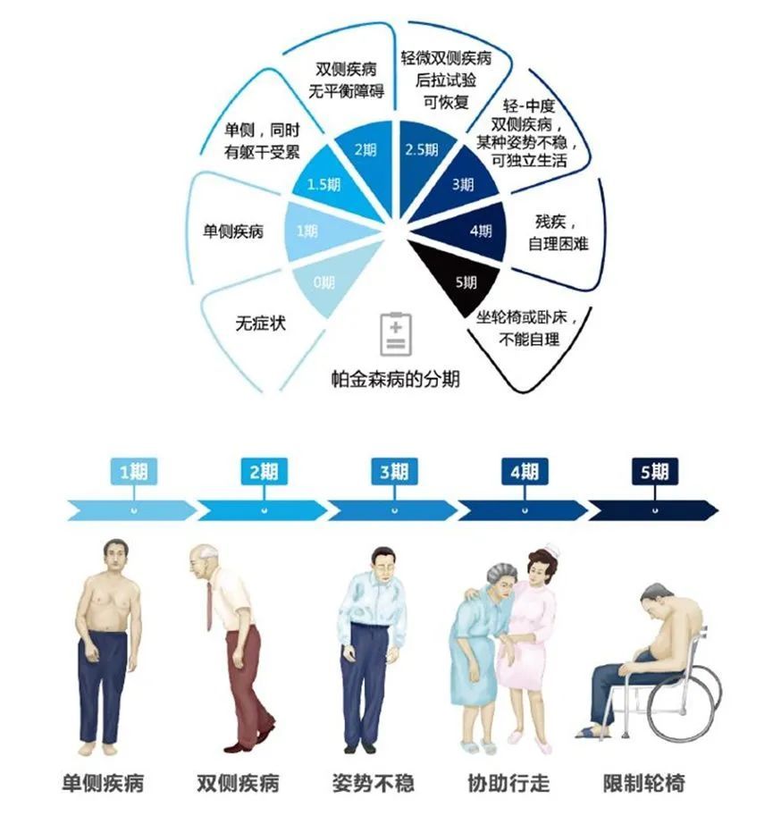 帕金森病患者的健康饮食指南 小帕讲故事 (帕金森病患者的震颤多属于)