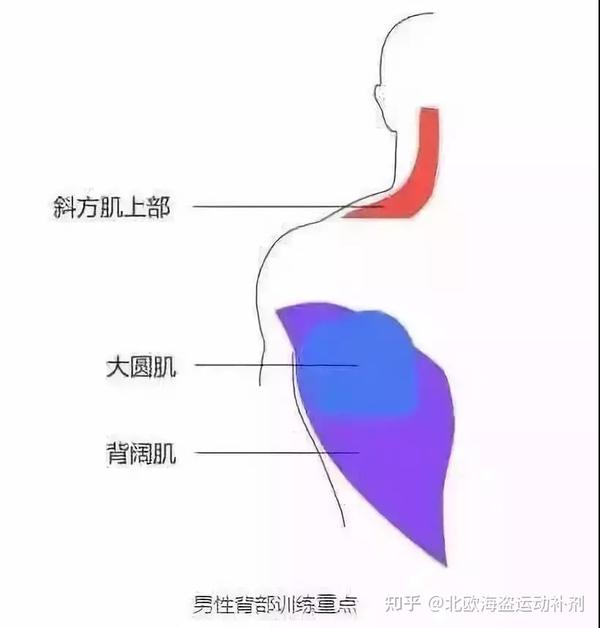 体面失利的背后 国足 谁的责任 日本 3 比 1 (体面失利的背影图片)