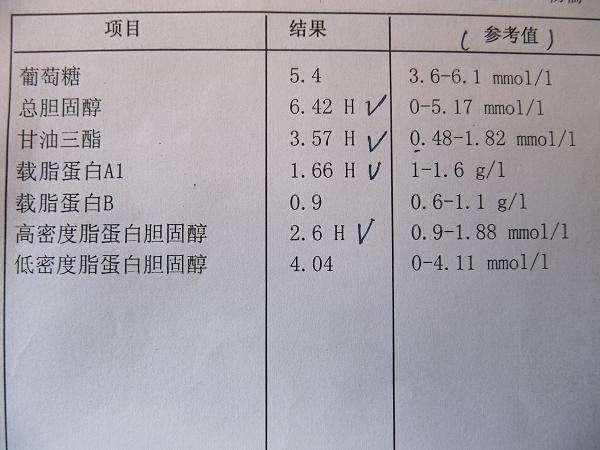 血脂检查单结果解读指南 理解你的胆固醇和甘油三酯水平 (血脂检查单结果怎么看)