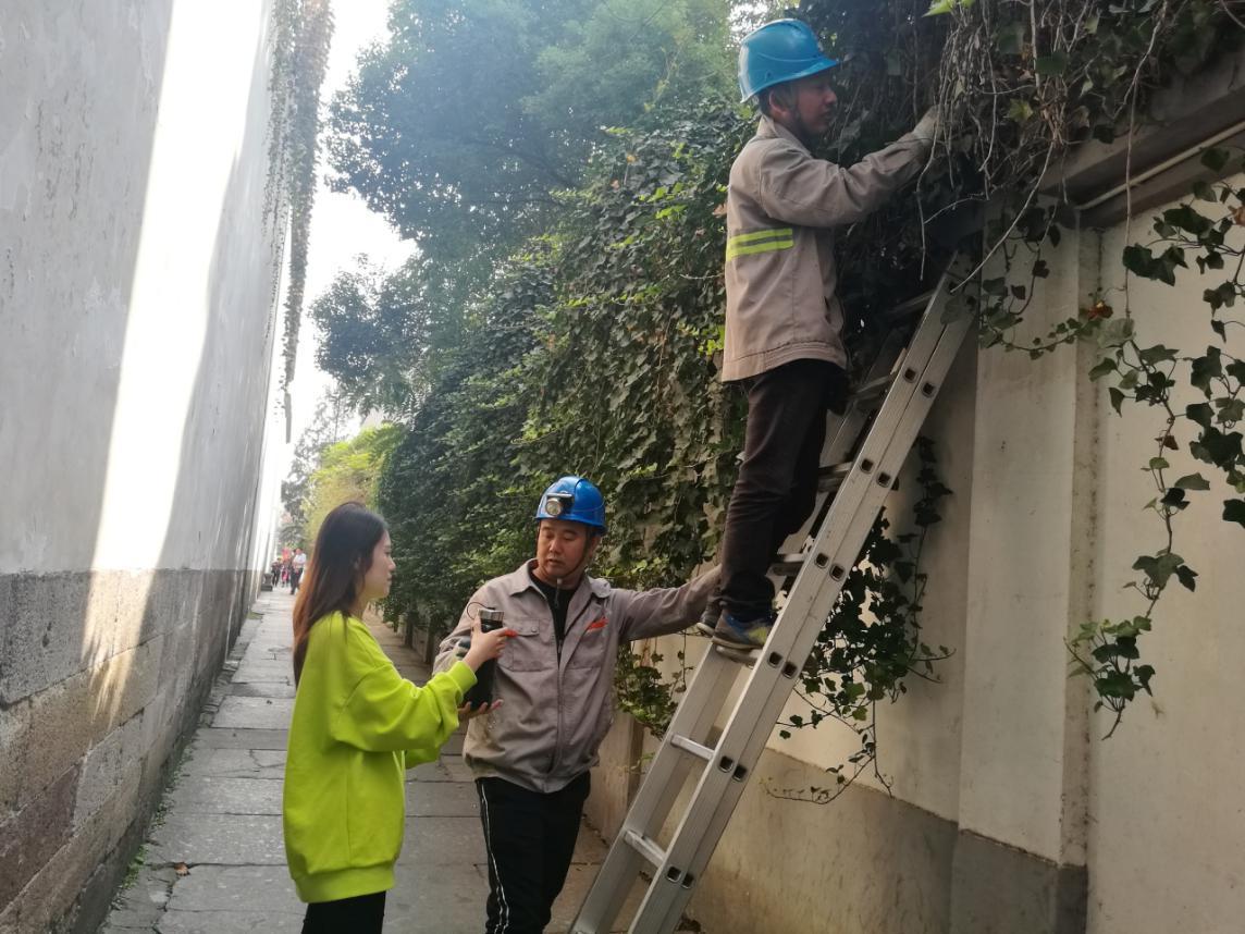 在小巷人家里隐藏的秘密 揭开养育孩子的真相 (在小巷人家里做什么好)