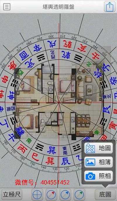 九大运势 生肖鸡 运势详解 2025乙巳年 (九大运势生肖图)