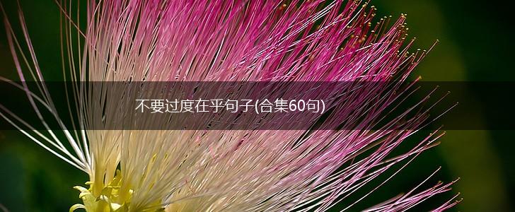 3件事不过度管教 培养孩子出息 睿智父母的育儿秘诀 (做事不过度的名言)