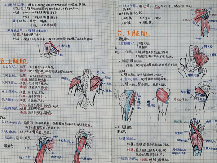 及时掌握医学动态 搜狐全球医讯 了解世界医疗前沿 (及时掌握医学伦理知识)