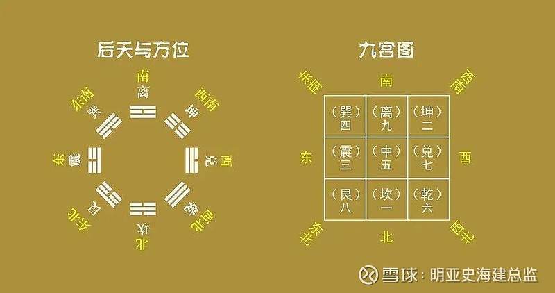 九大运势解读和预测 生肖猴 2025乙巳年 (九大运势解读视频)