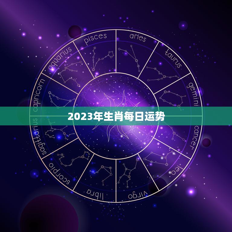 生肖运势指南 了解你的属相2023年全年运势 (生肖运势指南app)