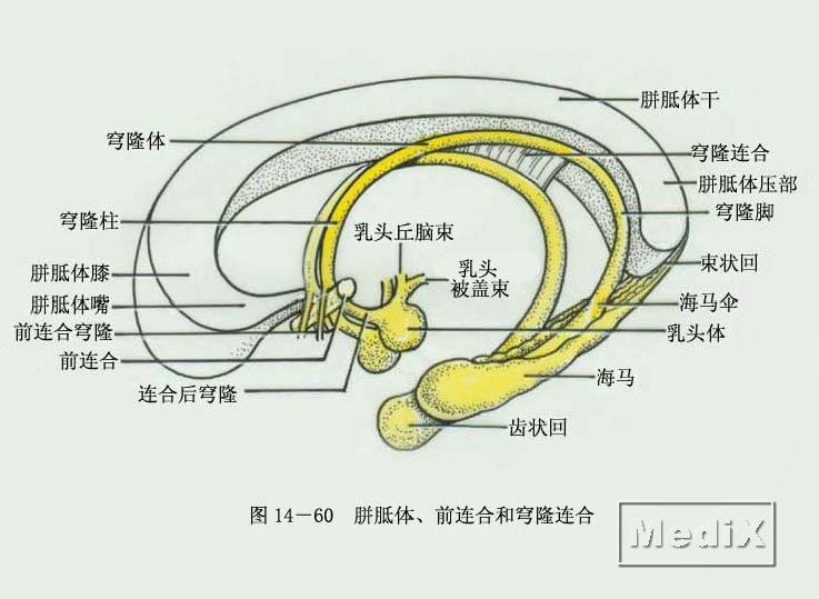 六连胜！混团世界杯捷报频传 (六连胜图片)