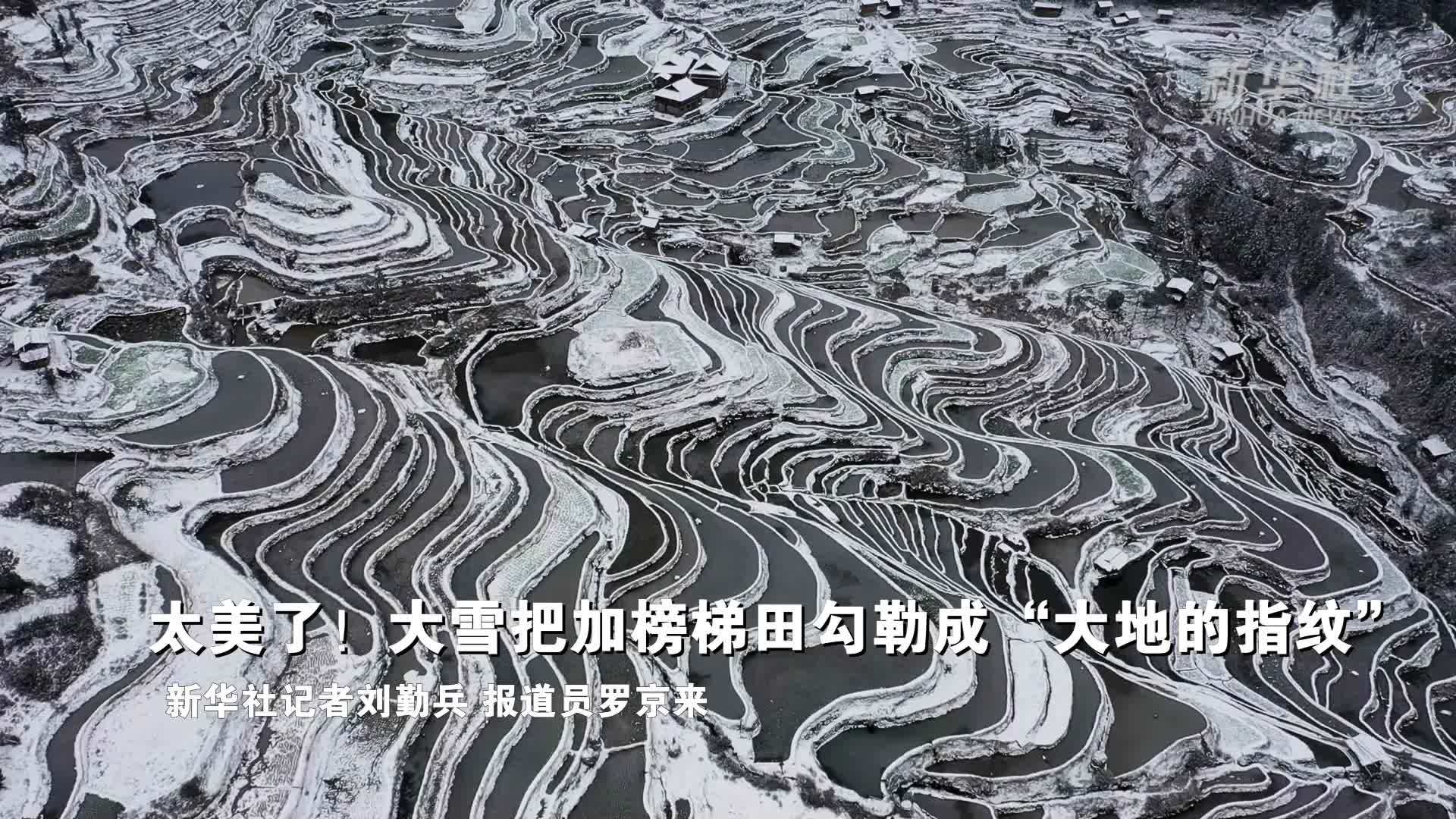 2024大雪节气后运势逆转 财星眷顾添财运的四大生肖 (2024大雪节气)