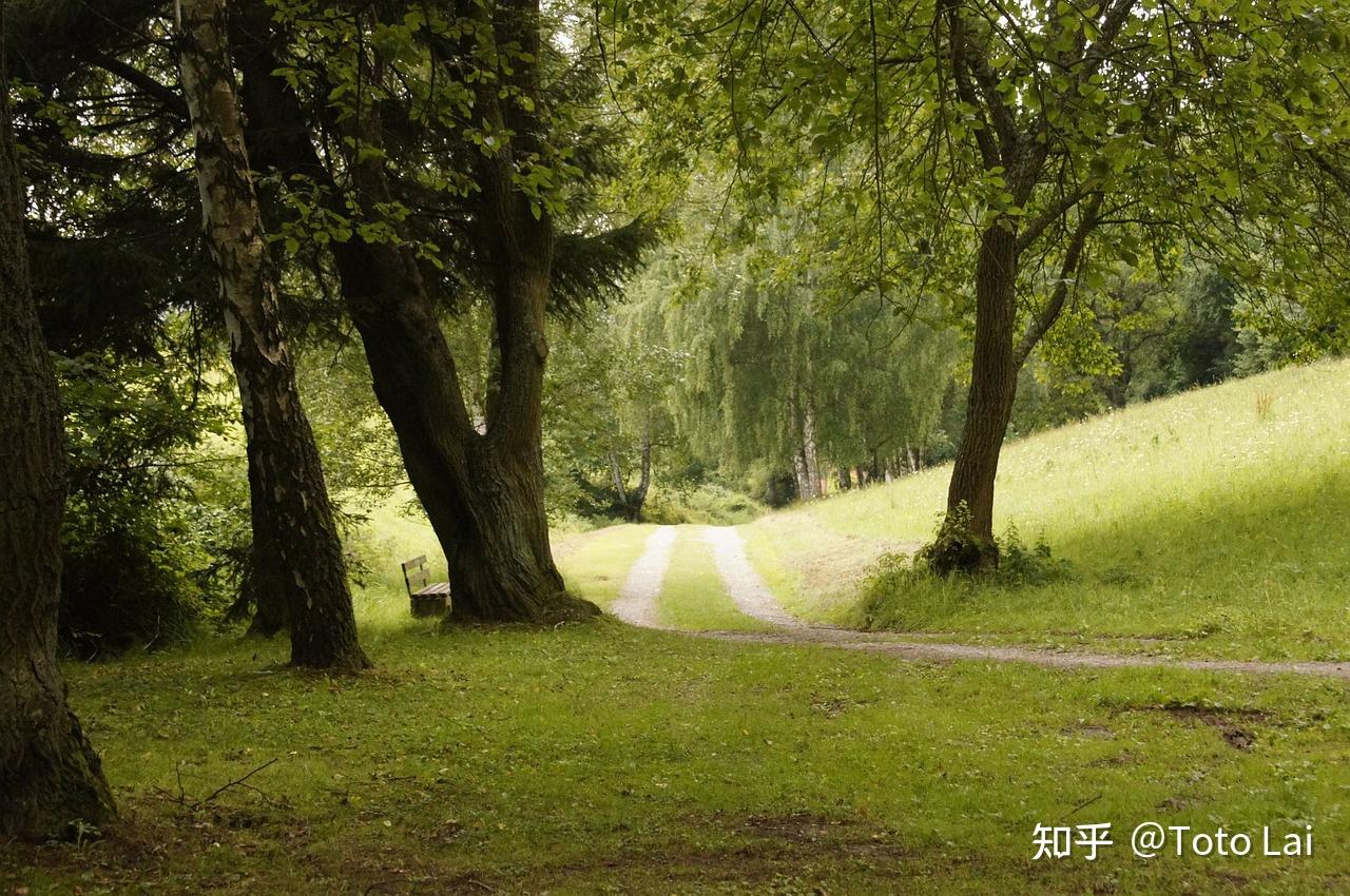 回应 珍惜生命 劫后余生 鸿茅药酒事件当事人谭秦东遭遇心梗 (回应珍惜生命的句子)