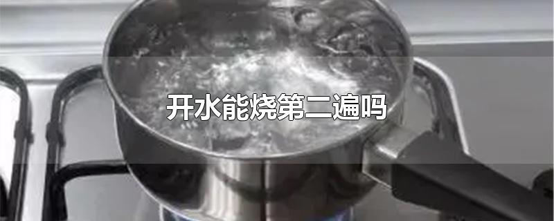 将水烧开 然后加入姜片 葱段和适量的盐 (水烧开然后用什么过滤微塑料)