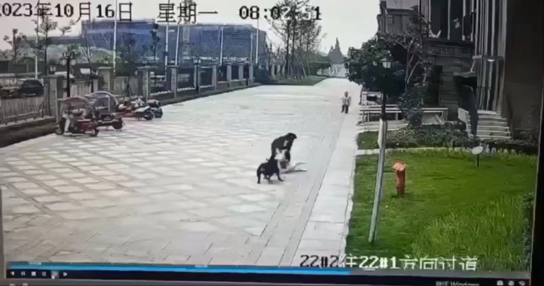 狂犬疫苗