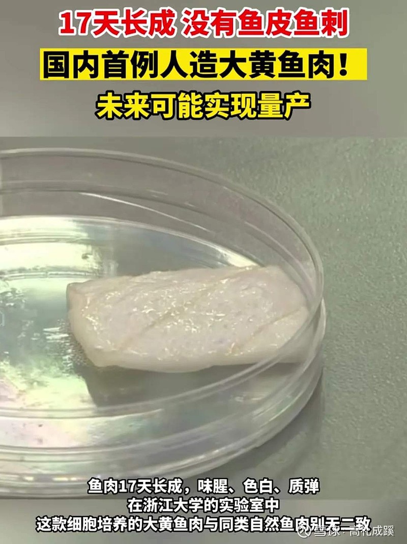 导致鱼肉不鲜不嫩 第一步勿用冷水煮鱼 酸菜鱼制作中的关键误区 (导致鱼肉不鲜的原因)