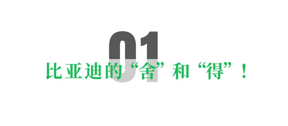 比亚迪30亿教育慈善基金的宏伟使命 点亮科教之光 筑梦汽车强国 (比亚迪30亿云轨项目)