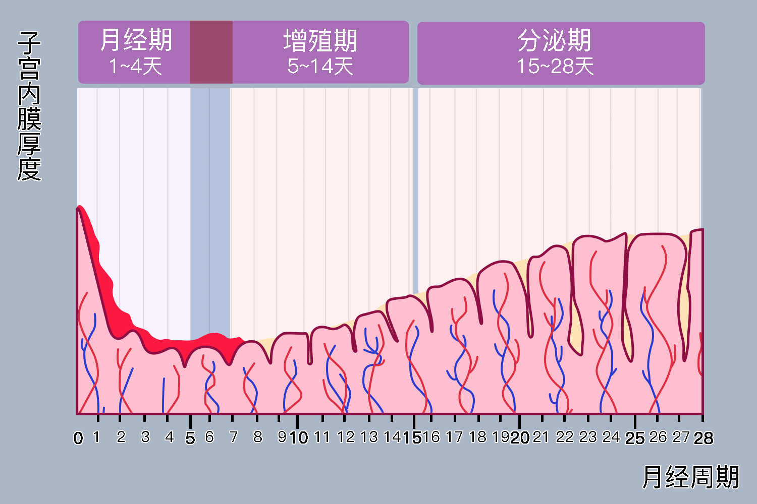 3个迹象揭示衰老