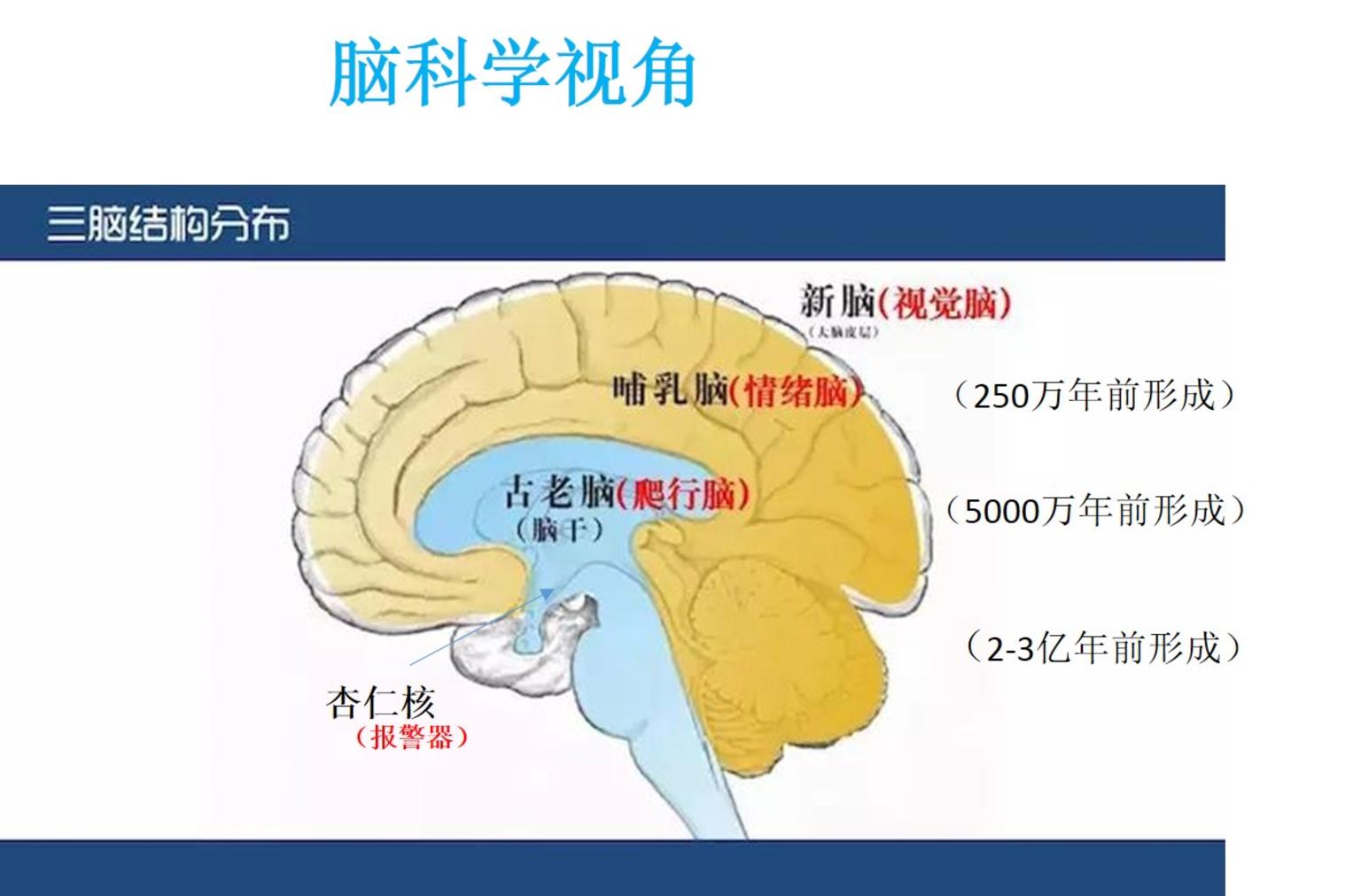 黄金期