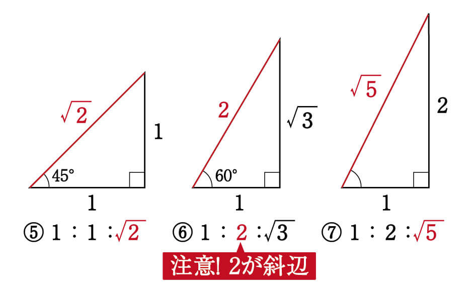 伴侣者