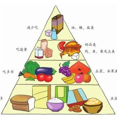 饮食的影响——吃得过多还是吃错了 孩子总生病的原因 (饮食的影响因素)