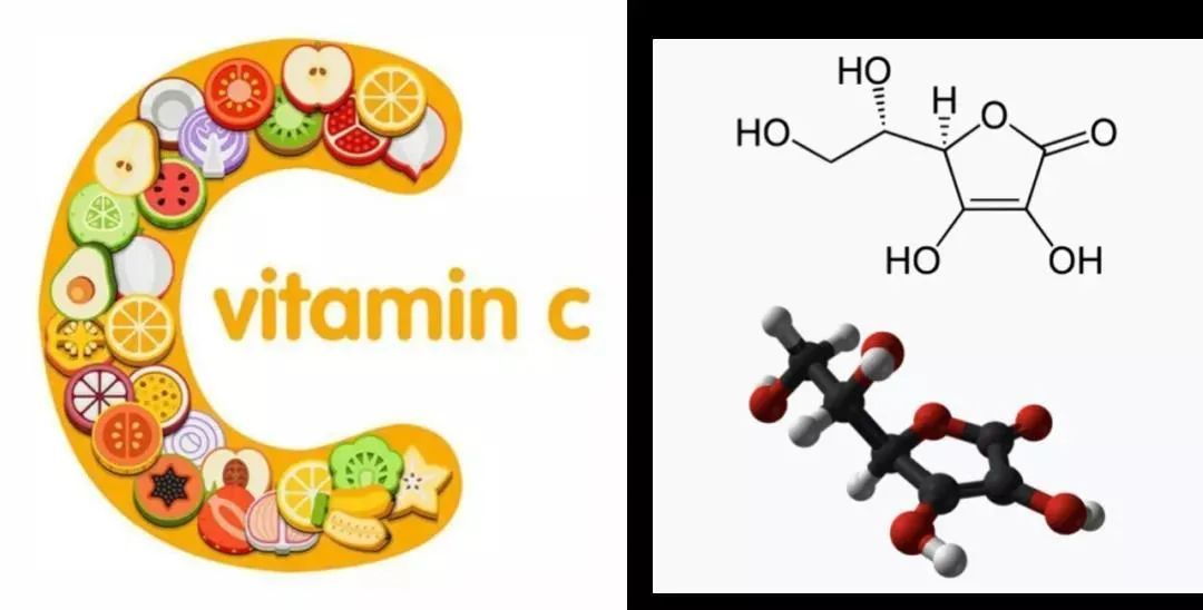 维C含量超乎想象 揭秘钙质之王 冬日养生新宠 (维c的含量)