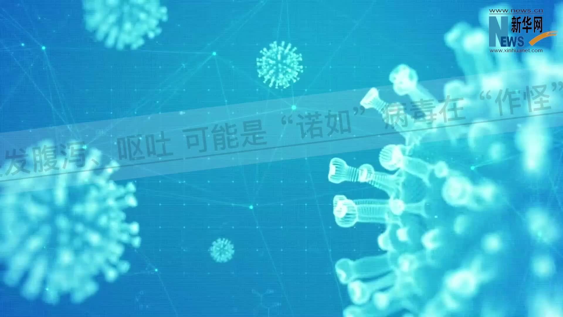 诺如病毒高发期来临 科学防控指南助您安心度过 (诺如病毒高发期是哪个季节)