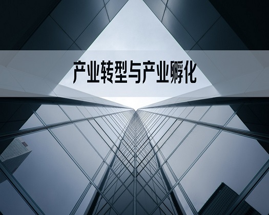 专家指技术缺创新