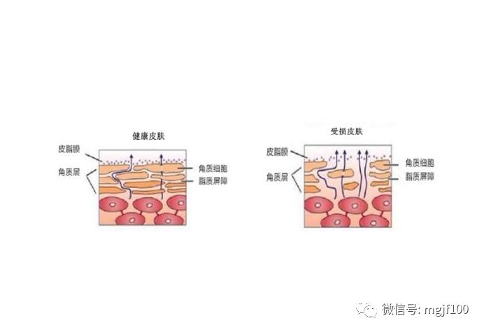 淘金热能让参与者发财吗