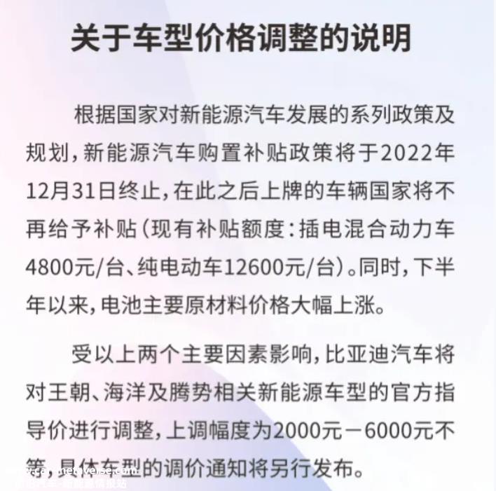 比亚迪打响价格战 行业销售数据一片向好 新能源上市车企2024年成绩单出炉 (比亚迪打响价格战)