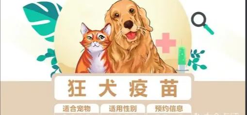 孕妇可以打狂犬疫苗吗