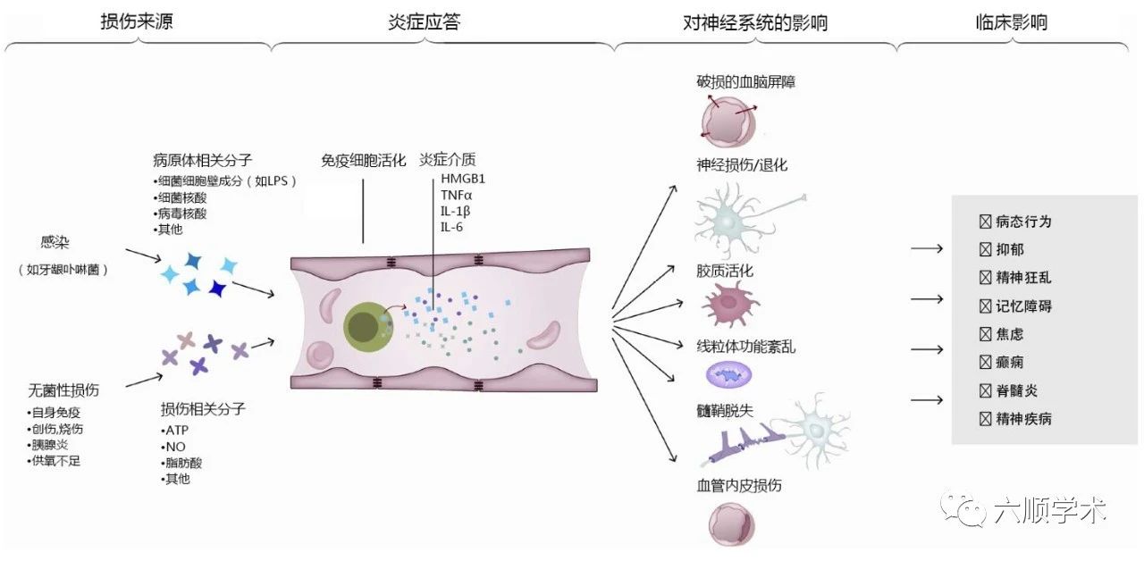 一种超级抗炎