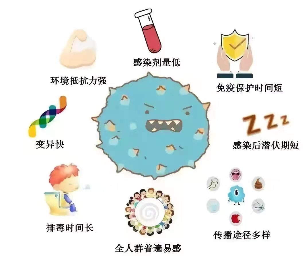 诺如病毒高发季来了 科学防控指南 轻松应对冬日健康挑战 (诺如病毒高发期是哪个季节)