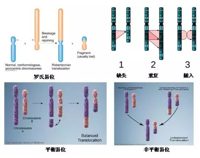 多产妇集体染诺如病毒 疾控中心检测确认 月子中心承诺补偿