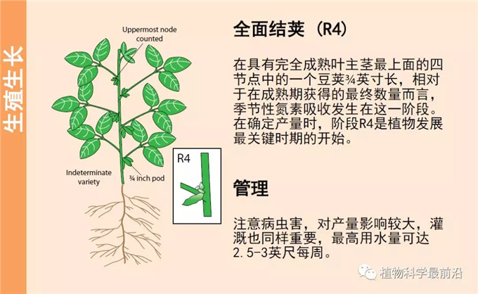 增强力和降低疾病复发风险的