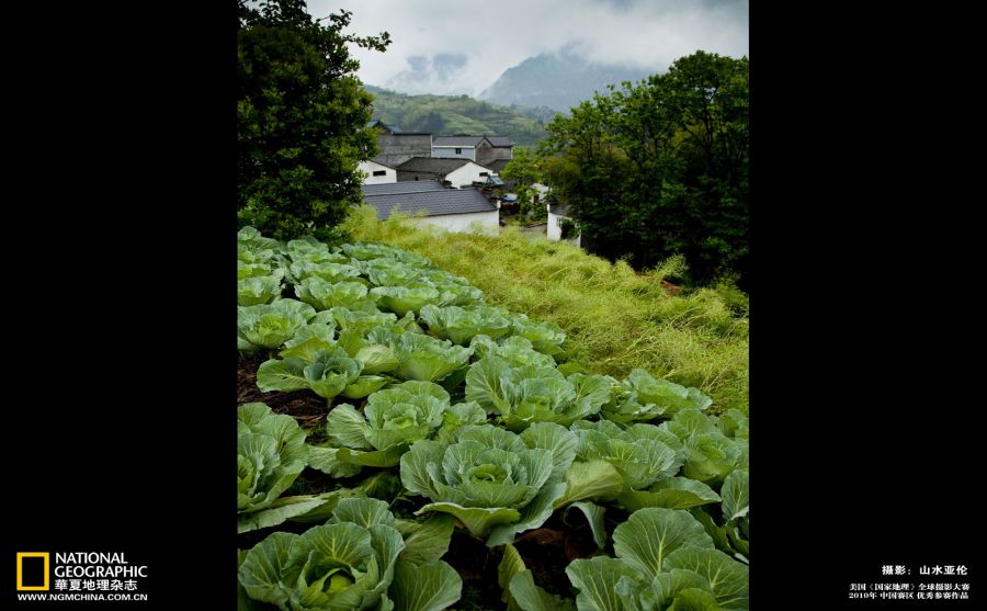 非吸烟者