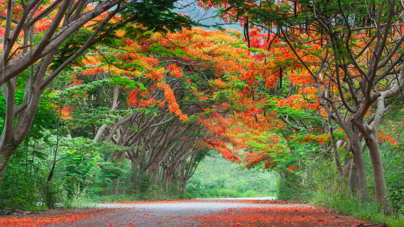 orange 沃克闪电染黄 曼城后防线危机爆发 span  style=color 瓜迪奥拉爱将成最大短板 span 10分钟红牌离场 (orange 沃克闪电染黄 曼城后防线危机爆发 span  style=color 瓜迪奥拉爱将成最大短板 span 10分钟红牌离场)