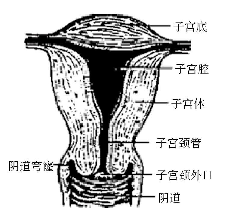 姐妹俩