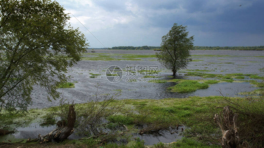 暴风骤雨后见彩虹——三家新势力破雷重生 彰显韧性 焦点 (暴风骤雨之后的感受)