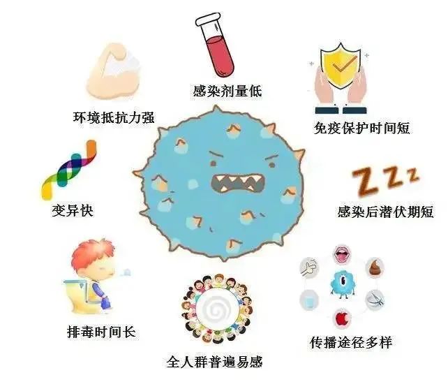 诺如病毒高发期科学防控指南 (诺如病毒高发期)