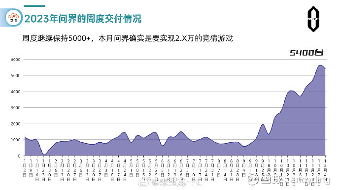 比亚迪增速领先 特斯拉年销下滑 吉利新能源超四成 2024年车市收官 (比亚迪提速)