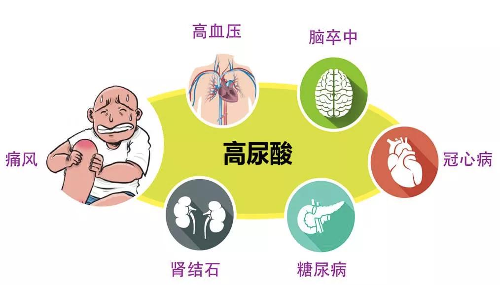 高尿酸血症患者饮食运动全指南 吃什么 告别痛风 动什么 (高尿酸血症患病率)