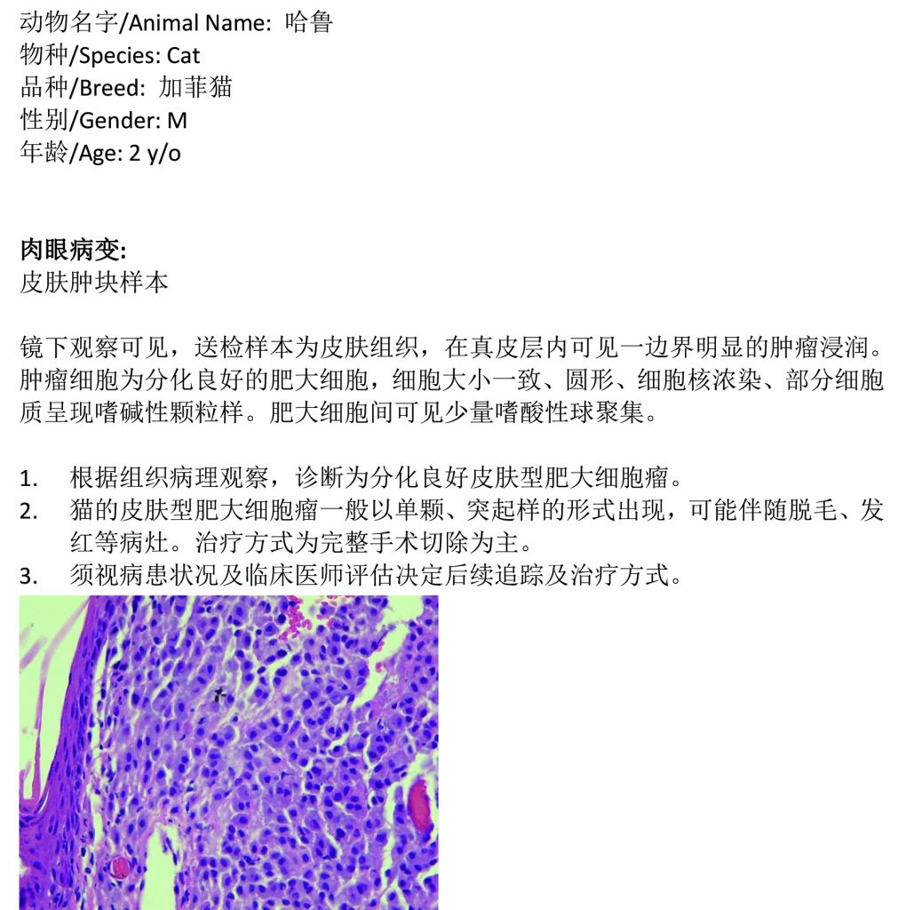 皮肤肿物辨别指南 了解好坏肿物的关键特征 (皮肤肿物辨别图片)