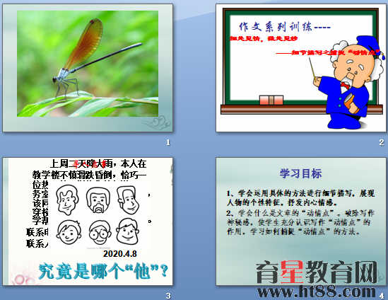 胎儿