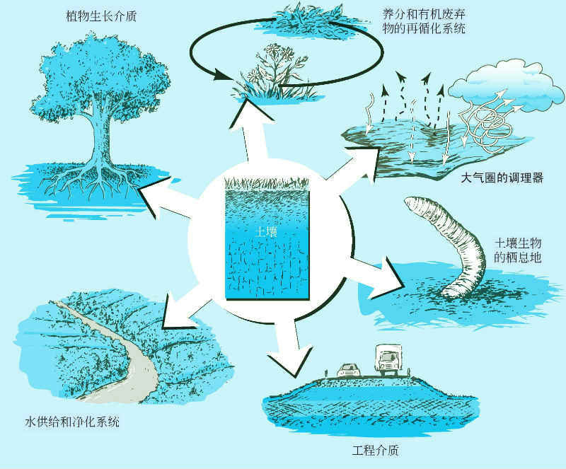 但完善生态系统是关键 国产AI芯片取得长足进步 (完善生态系统关系图的答案)