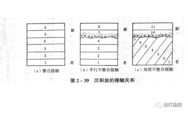 唐唯实