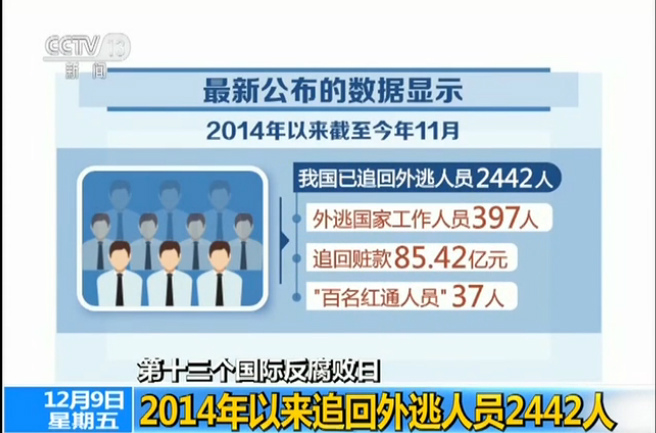 中国足球反腐风暴 2024 足协报告揭晓打击假赌黑取得重大成效 (中国足协反贪风暴)