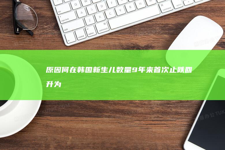 原因何在 韩国新生儿数量9年来首次止跌回升 (为什么在韩国)