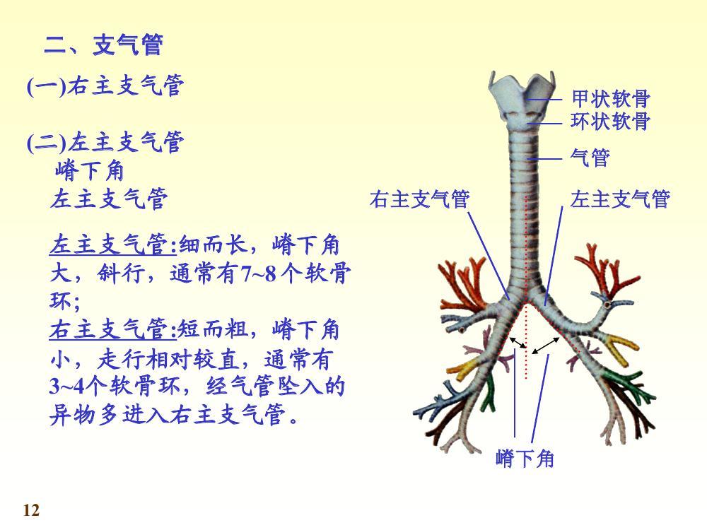 国家排