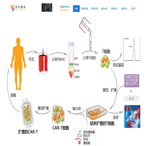 生物医药猎头