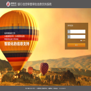 银联信信贷审查审批信息支持系统