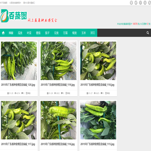百蔬图（农科百蔬网）